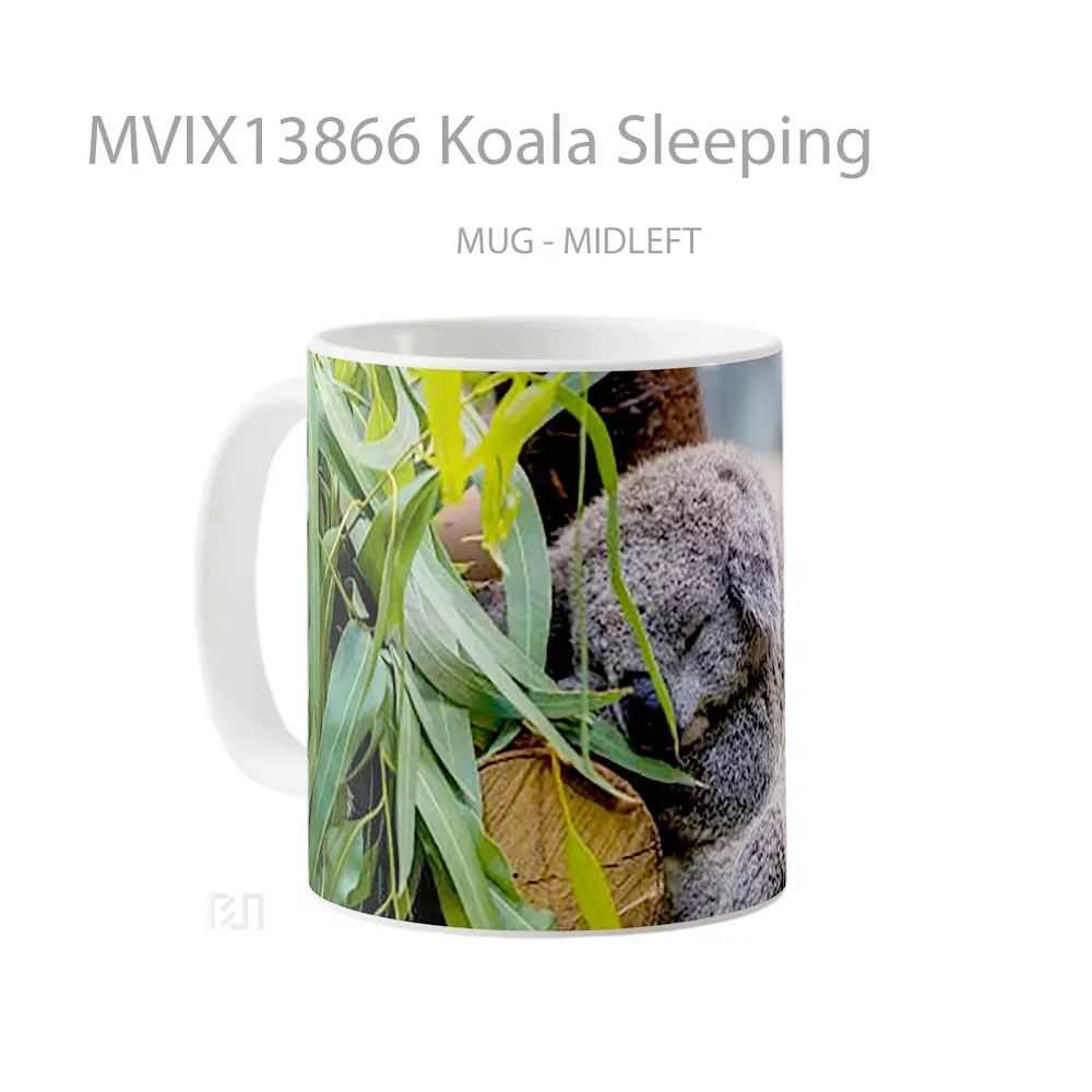 Mug Koala Sleeping Gelas Hewan Lucu - All-side / Desain