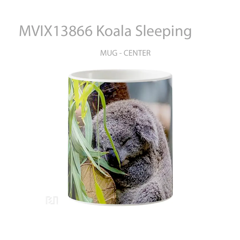 Mug Koala Sleeping Gelas Hewan Lucu