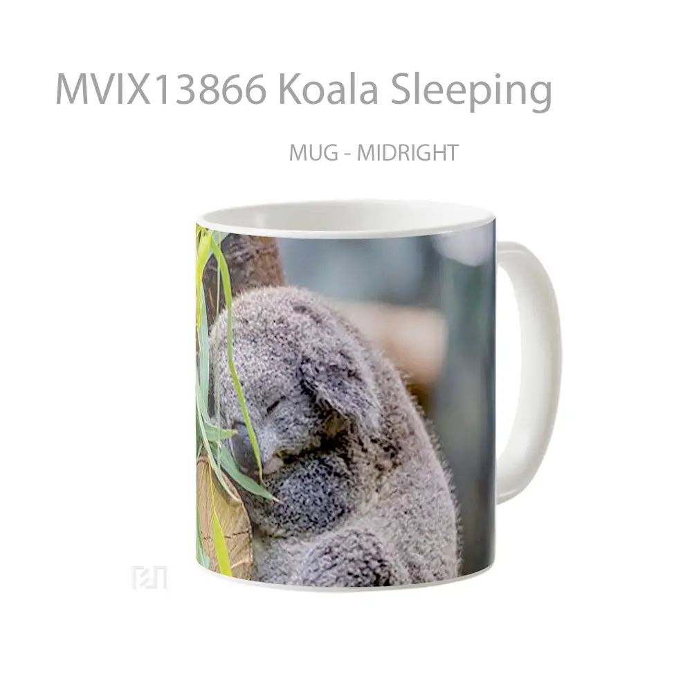 Mug Koala Sleeping Gelas Hewan Lucu - All-side / Desain