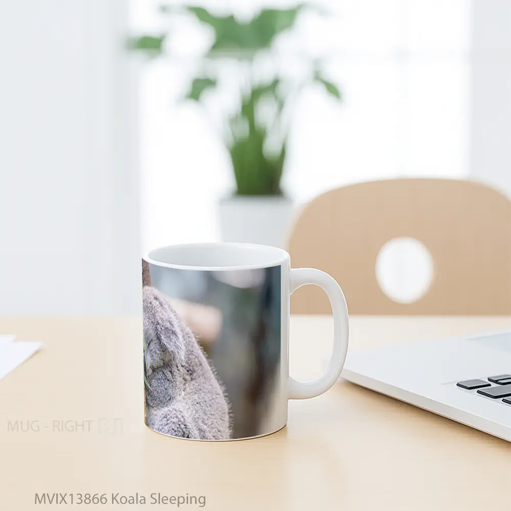 Mug Koala Sleeping Gelas Hewan Lucu - All-side / Desain