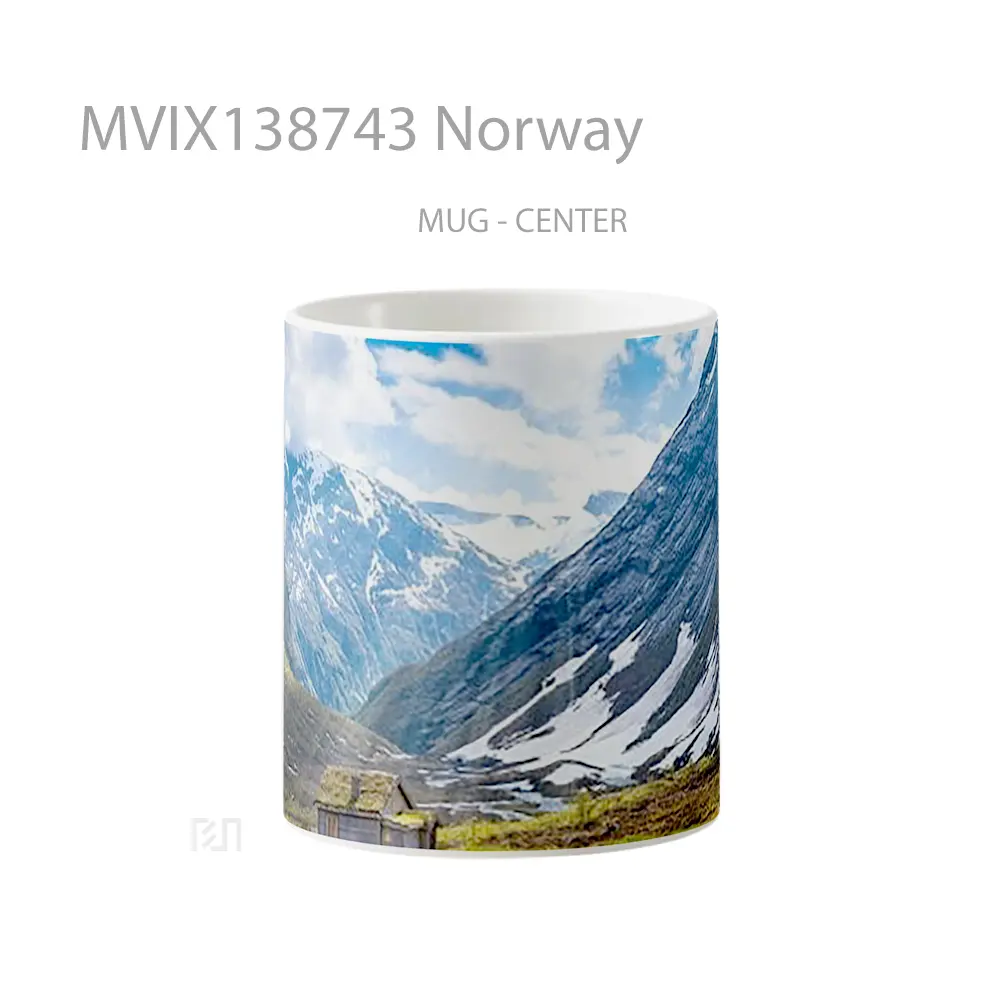 Mug Norway Gelas Keramik Unik