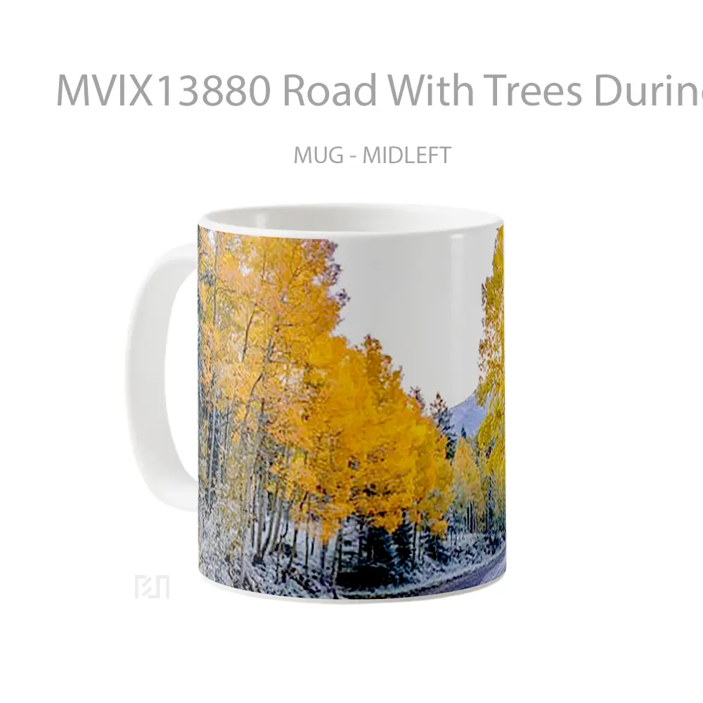 Mug Road With Trees During Autumn Gelas Pemandangan Alam - All-side / Desain
