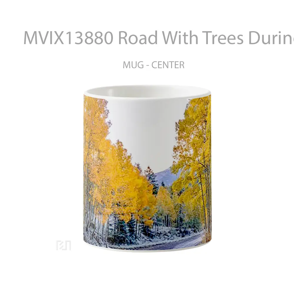 Mug Road With Trees During Autumn Gelas Pemandangan Alam