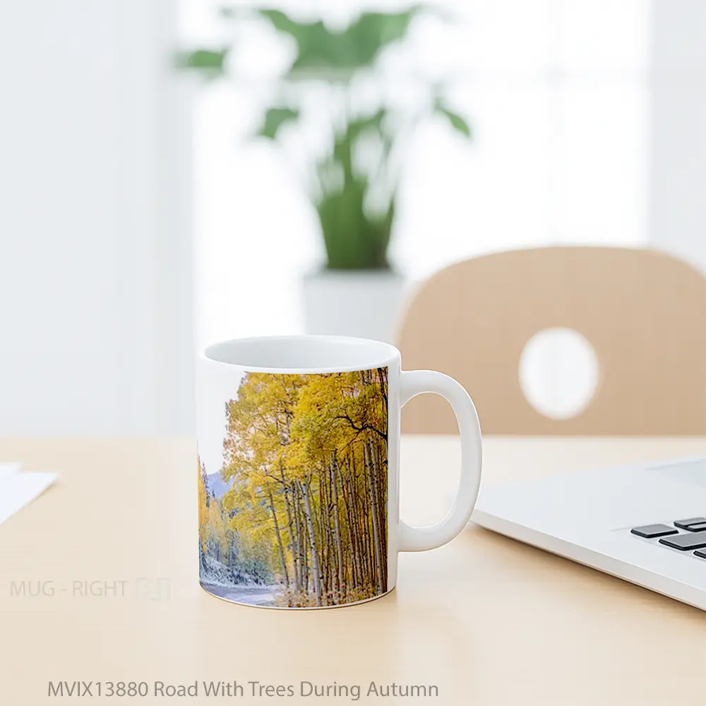 Mug Road With Trees During Autumn Gelas Pemandangan Alam - All-side / Desain