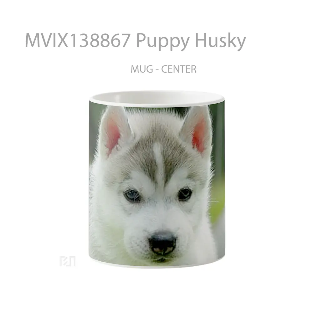 Mug Puppy Husky Gelas Hewan Lucu