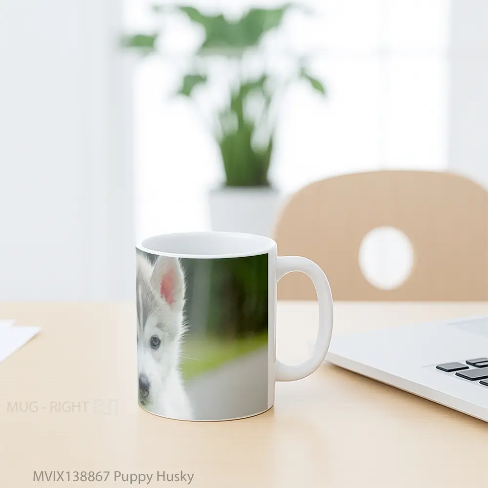 Mug Puppy Husky Gelas Hewan Lucu - All-side / Desain