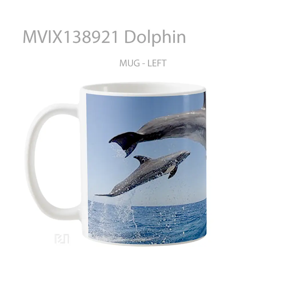 Mug Dolphin Gelas Hewan Lucu - All-side / Desain