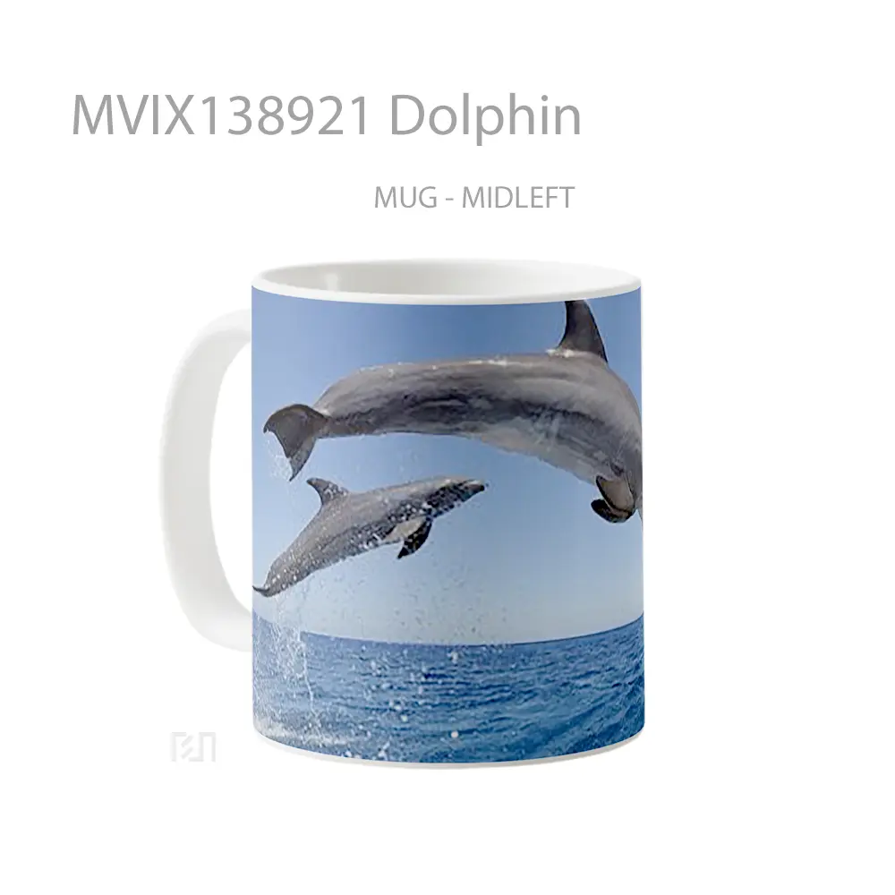 Mug Dolphin Gelas Hewan Lucu - All-side / Desain