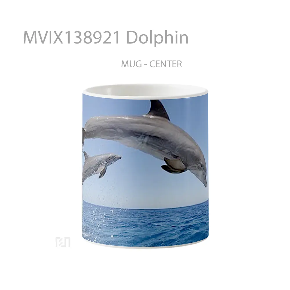 Mug Dolphin Gelas Hewan Lucu
