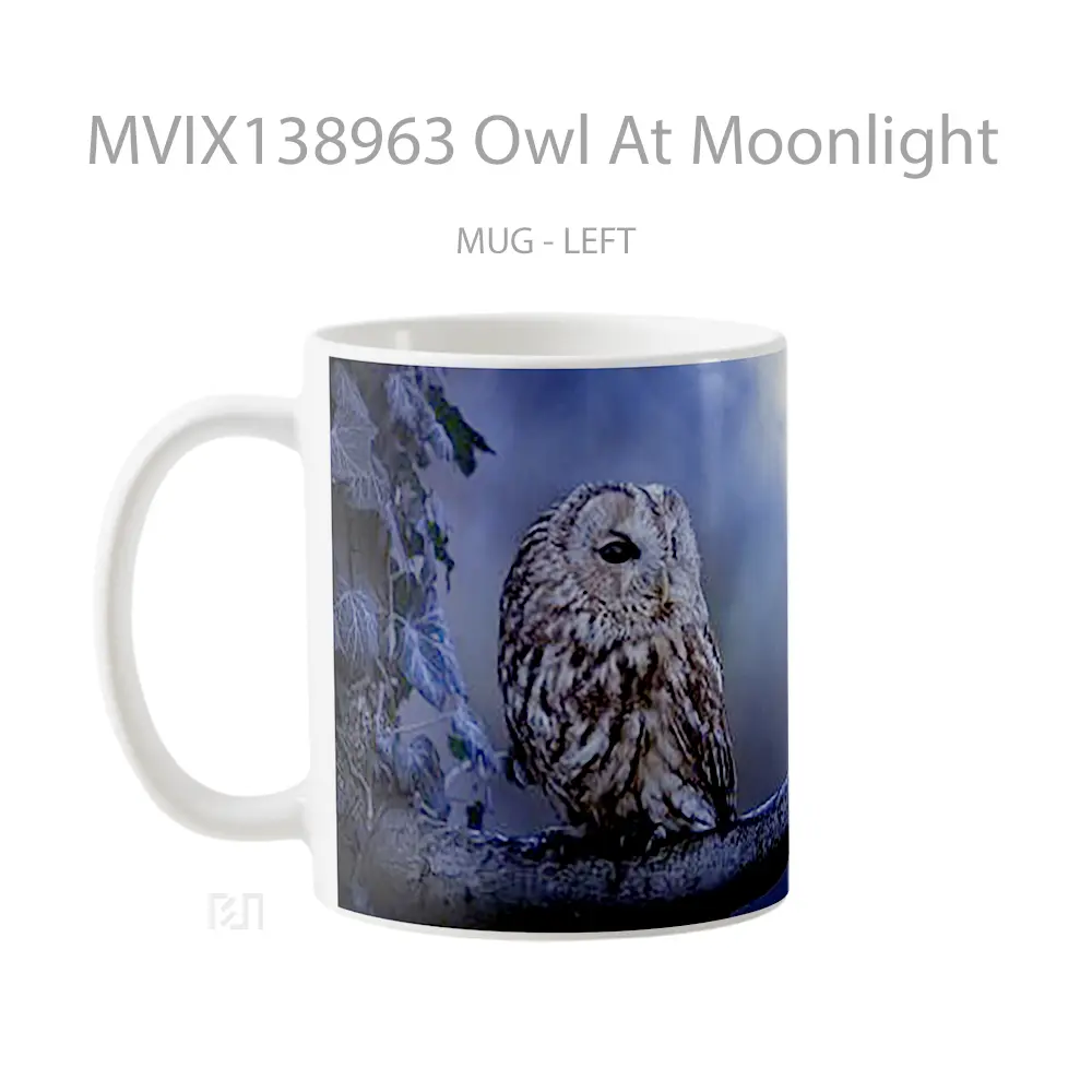 Mug Owl At Moonlight Gelas Hewan Lucu - All-side / Desain