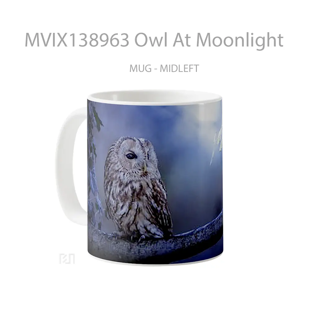 Mug Owl At Moonlight Gelas Hewan Lucu - All-side / Desain