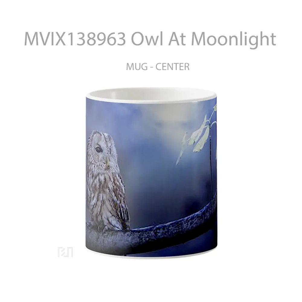 Mug Owl At Moonlight Gelas Hewan Lucu