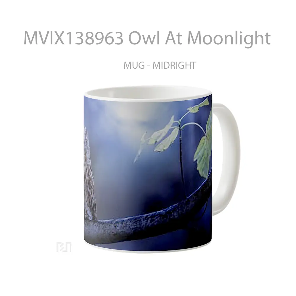 Mug Owl At Moonlight Gelas Hewan Lucu - All-side / Desain