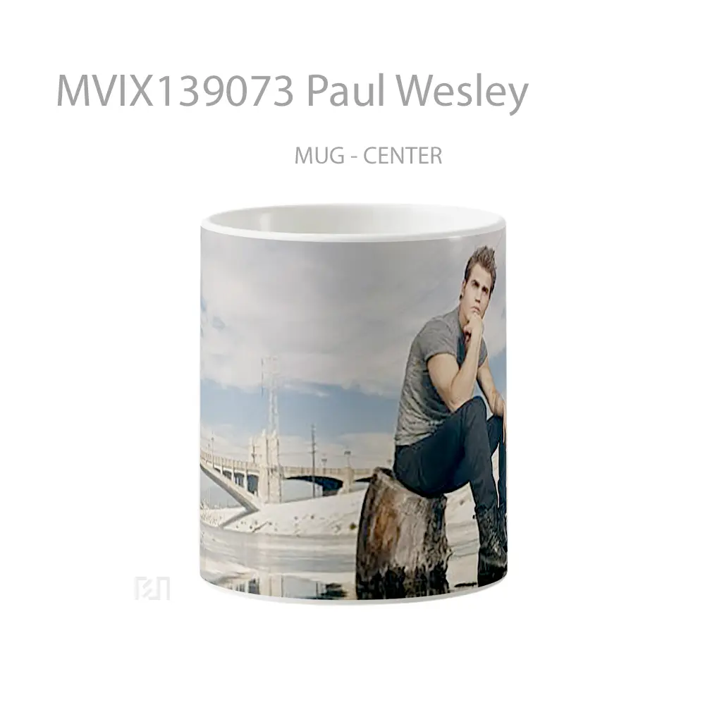 Mug Paul Wesley Gelas Keramik Unik