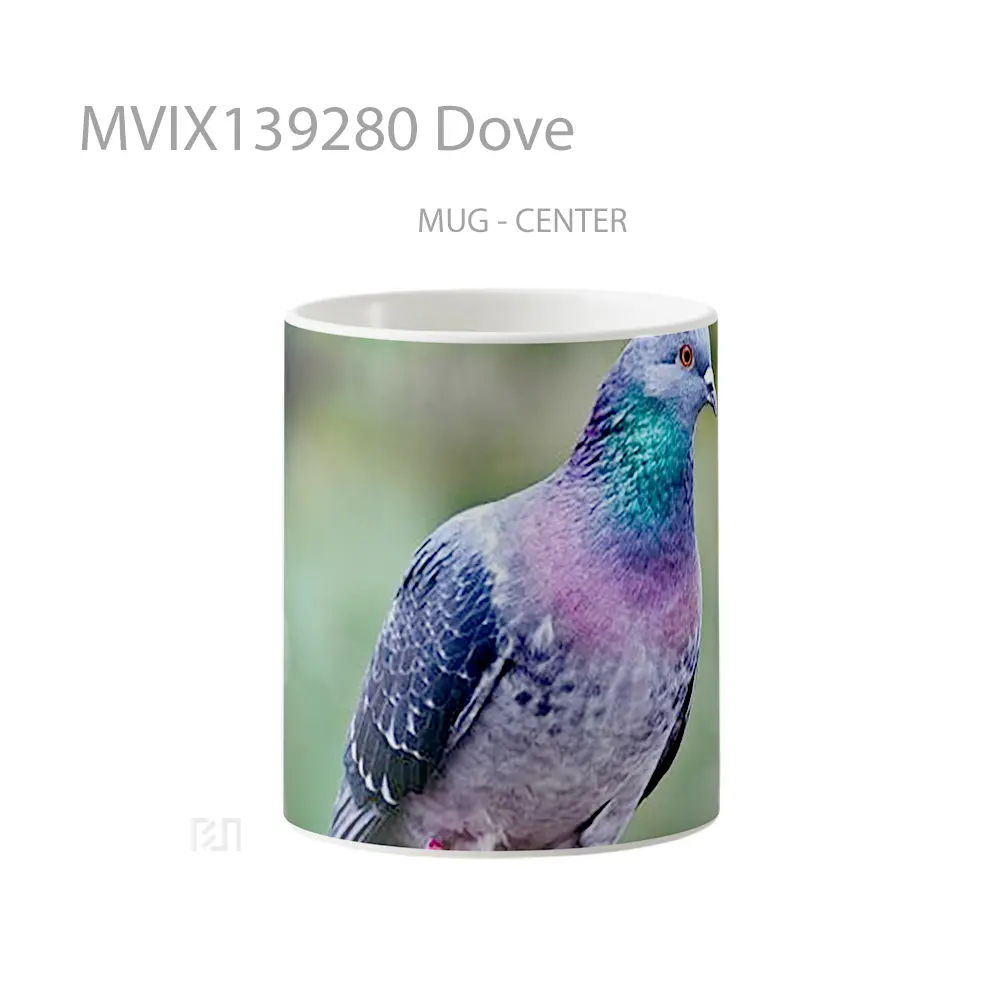 Mug Dove Gelas Keramik Unik