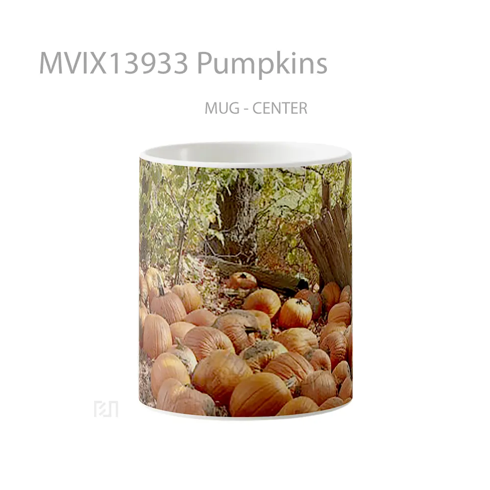 Mug Pumpkins Gelas Keramik Unik