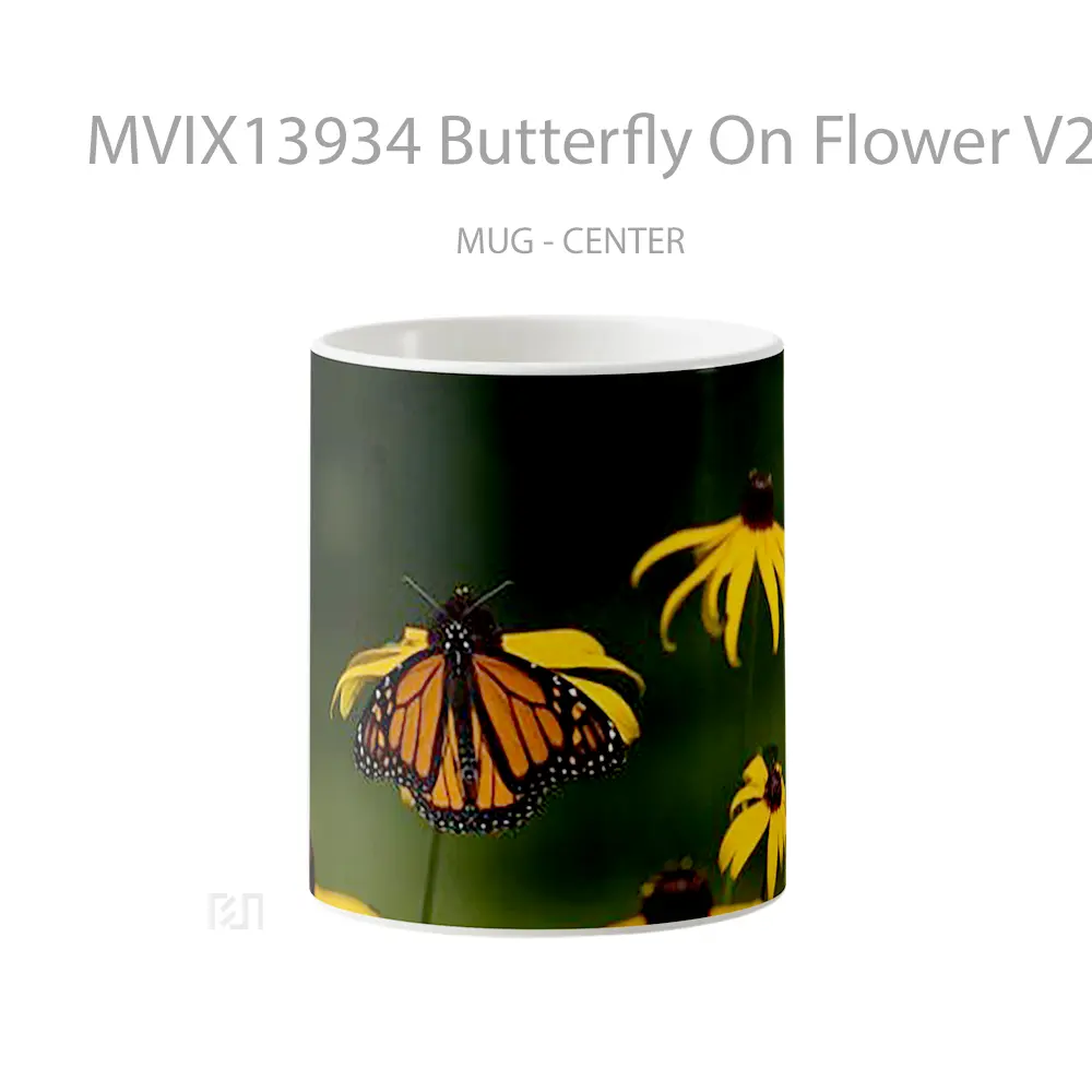 Mug Butterfly On Flower V2 Gelas Hewan Lucu