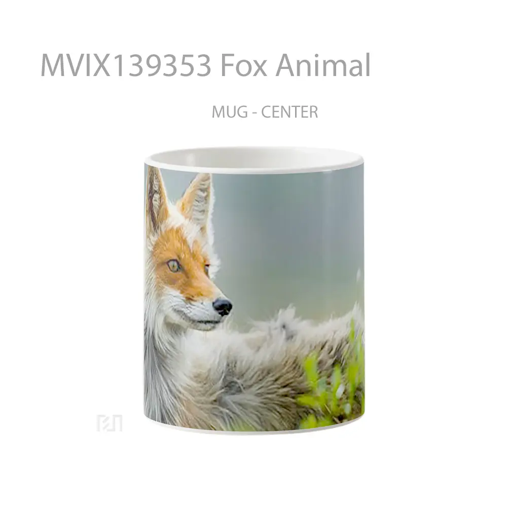 Mug Fox Animal Gelas Hewan Lucu