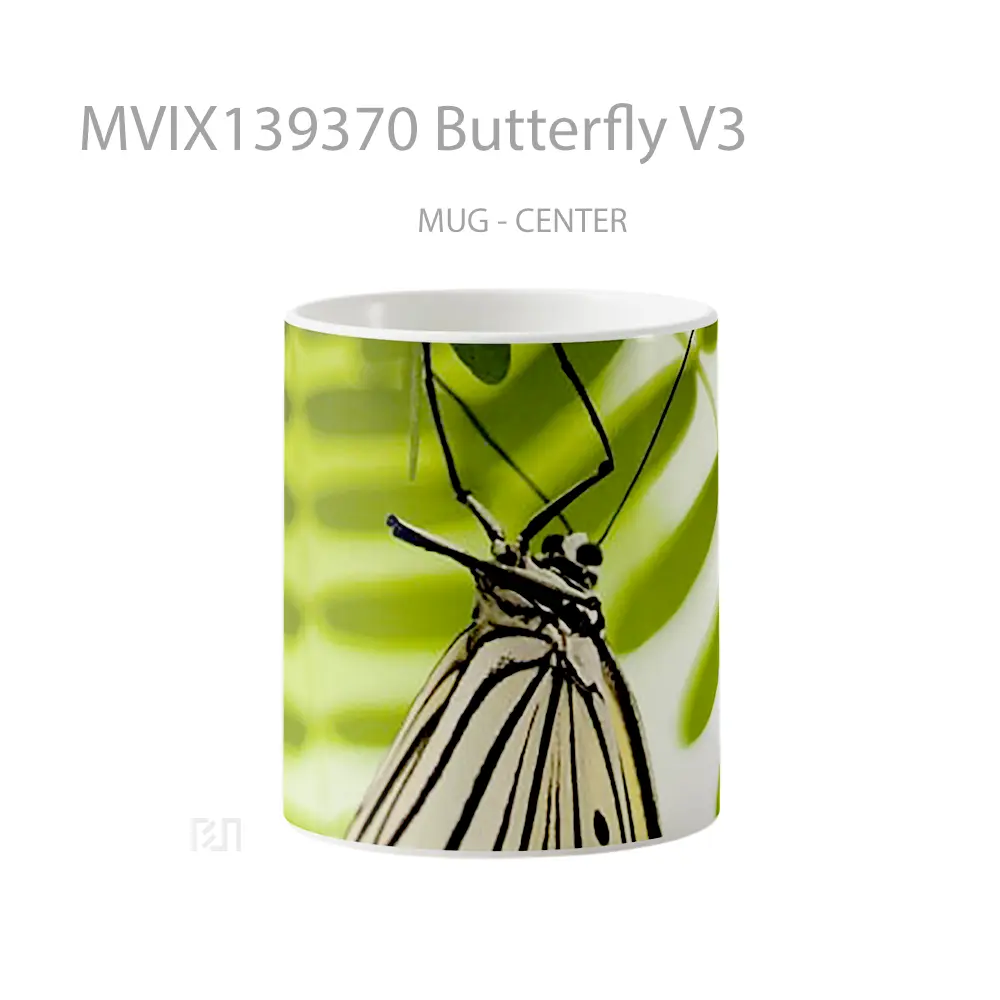 Mug Butterfly V3 Gelas Hewan Lucu