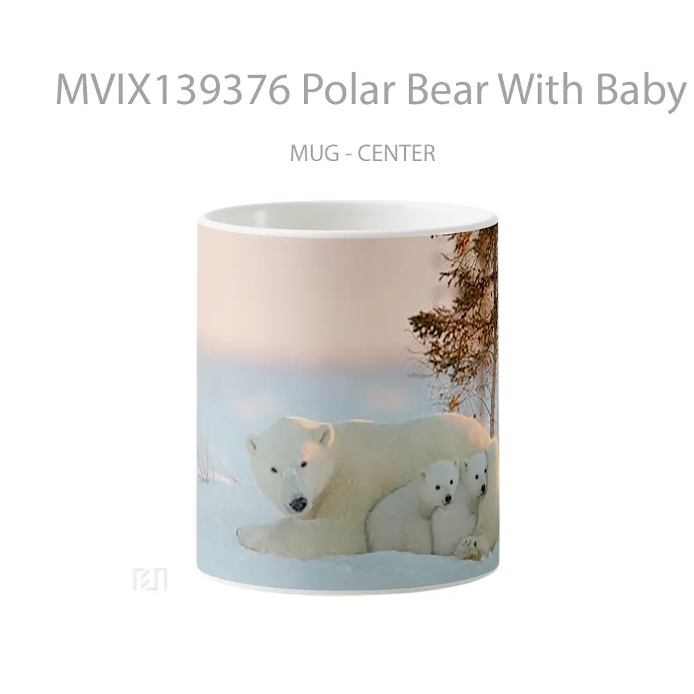 Mug Polar Bear With Baby Bears Gelas Hewan Lucu