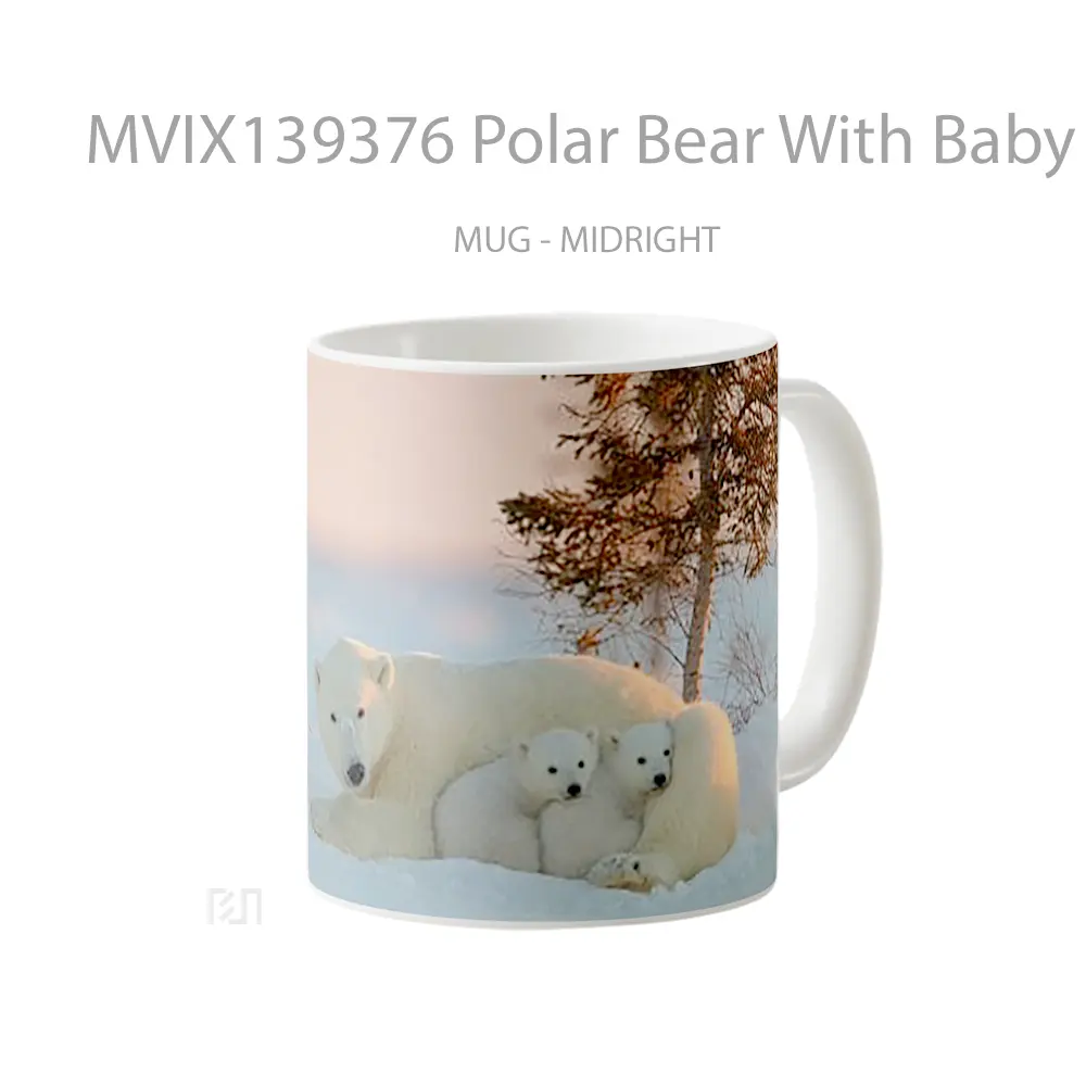 Mug Polar Bear With Baby Bears Gelas Hewan Lucu - All-side / Desain