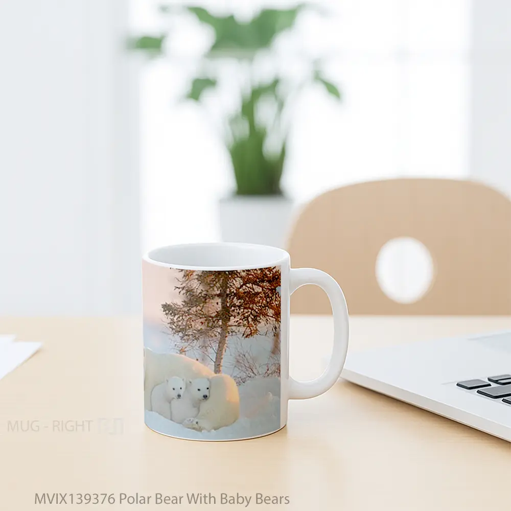 Mug Polar Bear With Baby Bears Gelas Hewan Lucu - All-side / Desain
