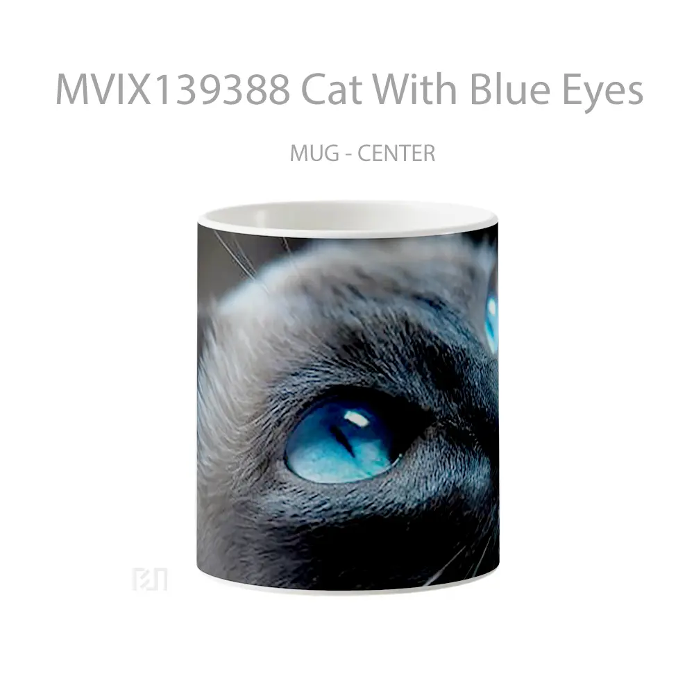 Mug Cat With Blue Eyes Gelas Hewan Lucu