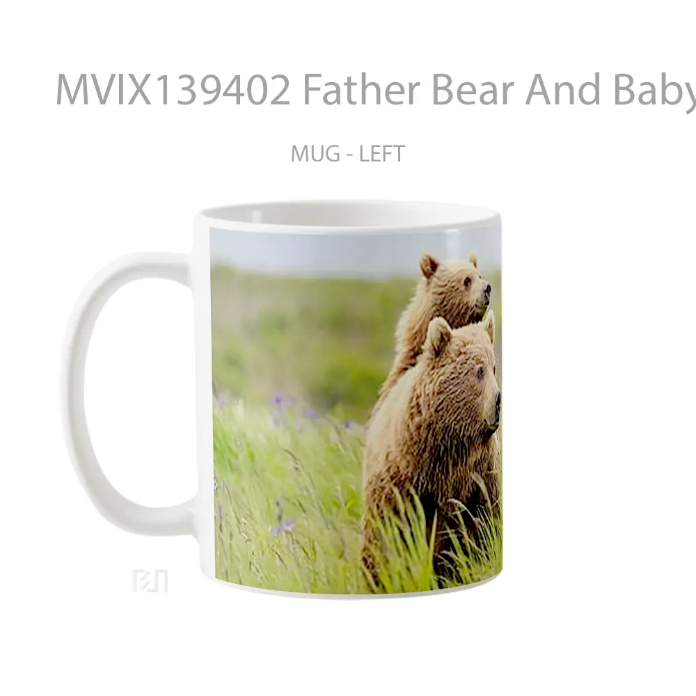 Mug Father Bear And Baby Bear Gelas Hewan Lucu - All-side / Desain