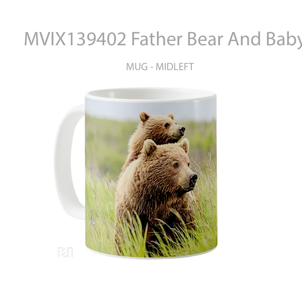 Mug Father Bear And Baby Bear Gelas Hewan Lucu - All-side / Desain