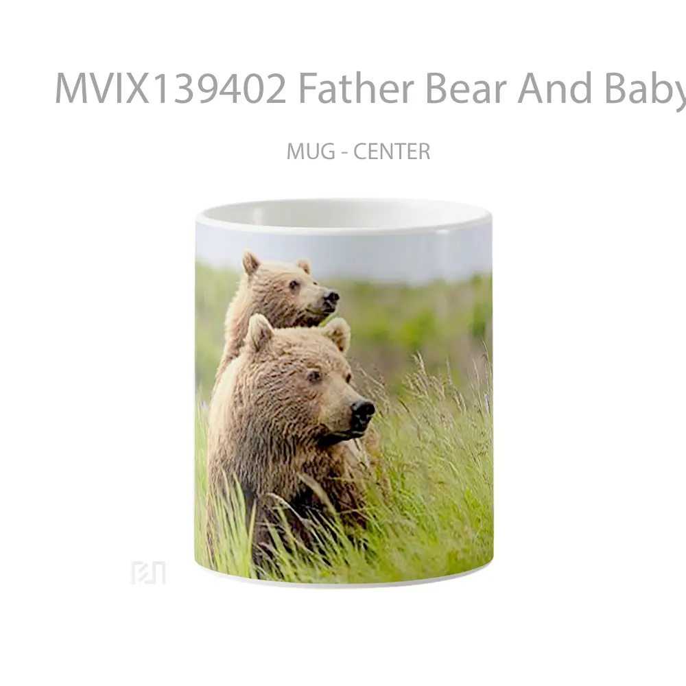 Mug Father Bear And Baby Bear Gelas Hewan Lucu