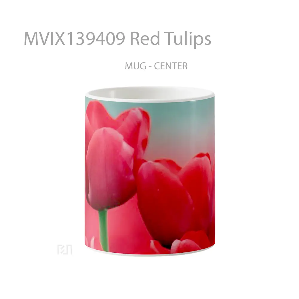 Mug Red Tulips Gelas Keramik Unik