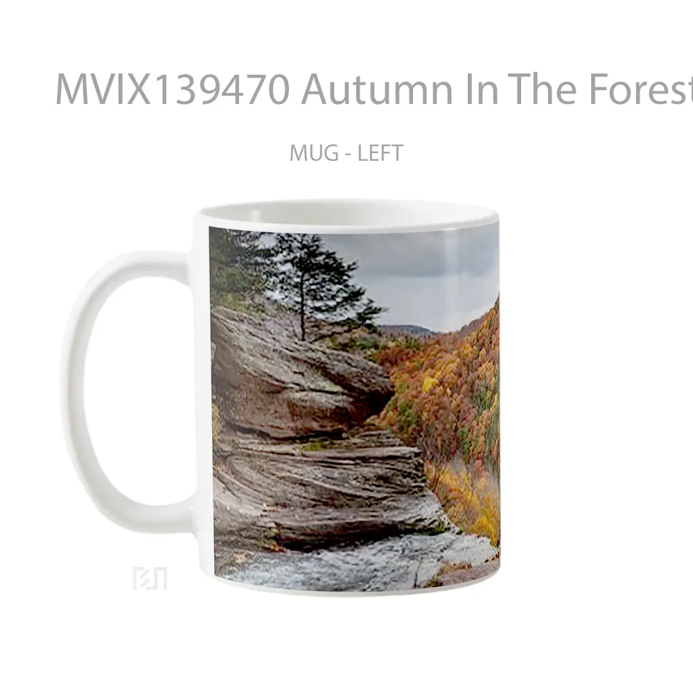 Mug Autumn In The Forest Gelas Pemandangan Alam - All-side / Desain