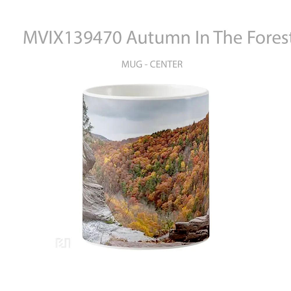 Mug Autumn In The Forest Gelas Pemandangan Alam