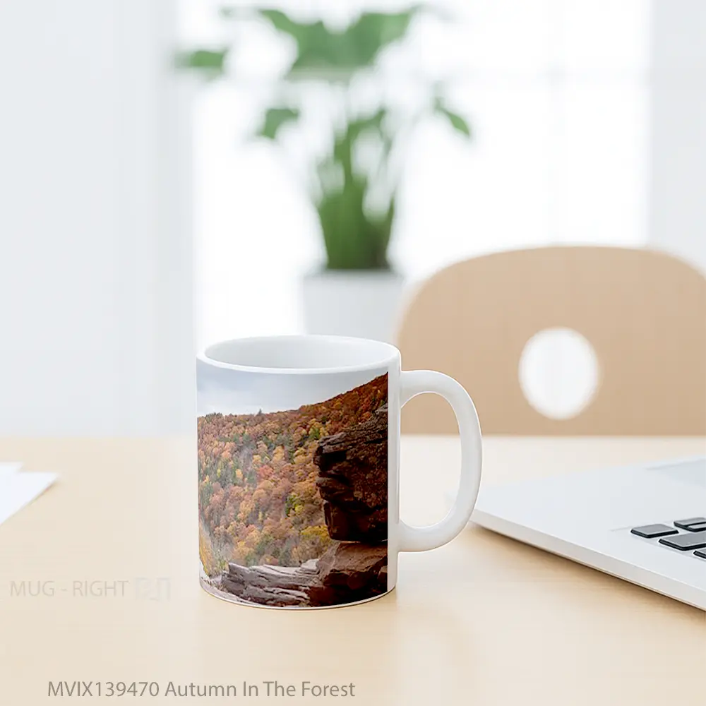 Mug Autumn In The Forest Gelas Pemandangan Alam - All-side / Desain