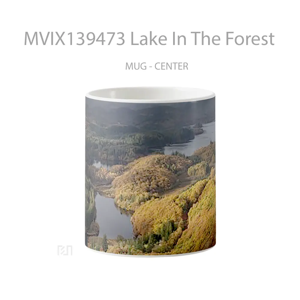 Mug Lake In The Forest Gelas Pemandangan Alam
