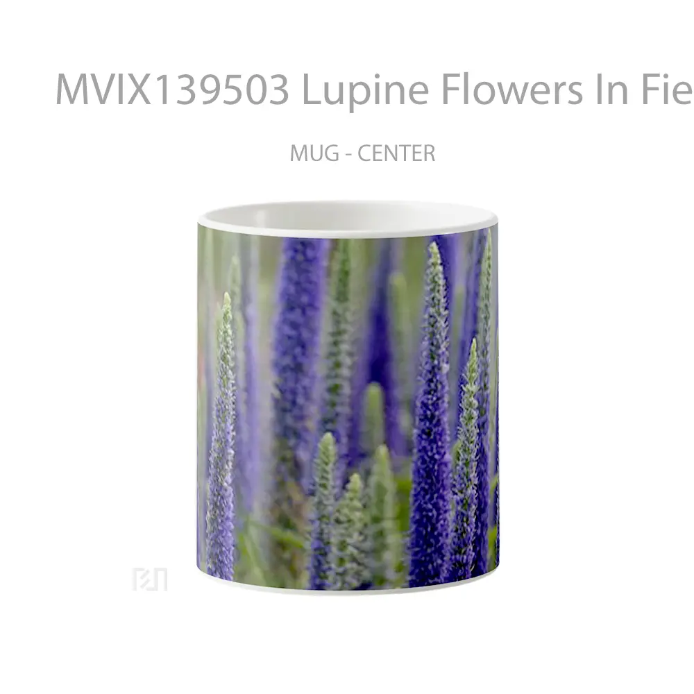 Mug Lupine Flowers In Field Gelas Pemandangan Alam