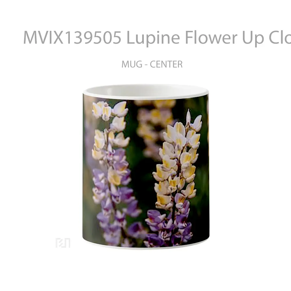 Mug Lupine Flower Up Close Gelas Pemandangan Alam