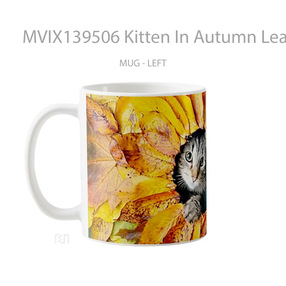 Mug Kitten In Autumn Leaves Gelas Hewan Lucu - All-side / Desain