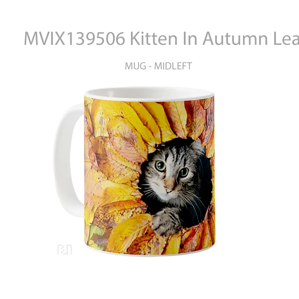 Mug Kitten In Autumn Leaves Gelas Hewan Lucu - All-side / Desain