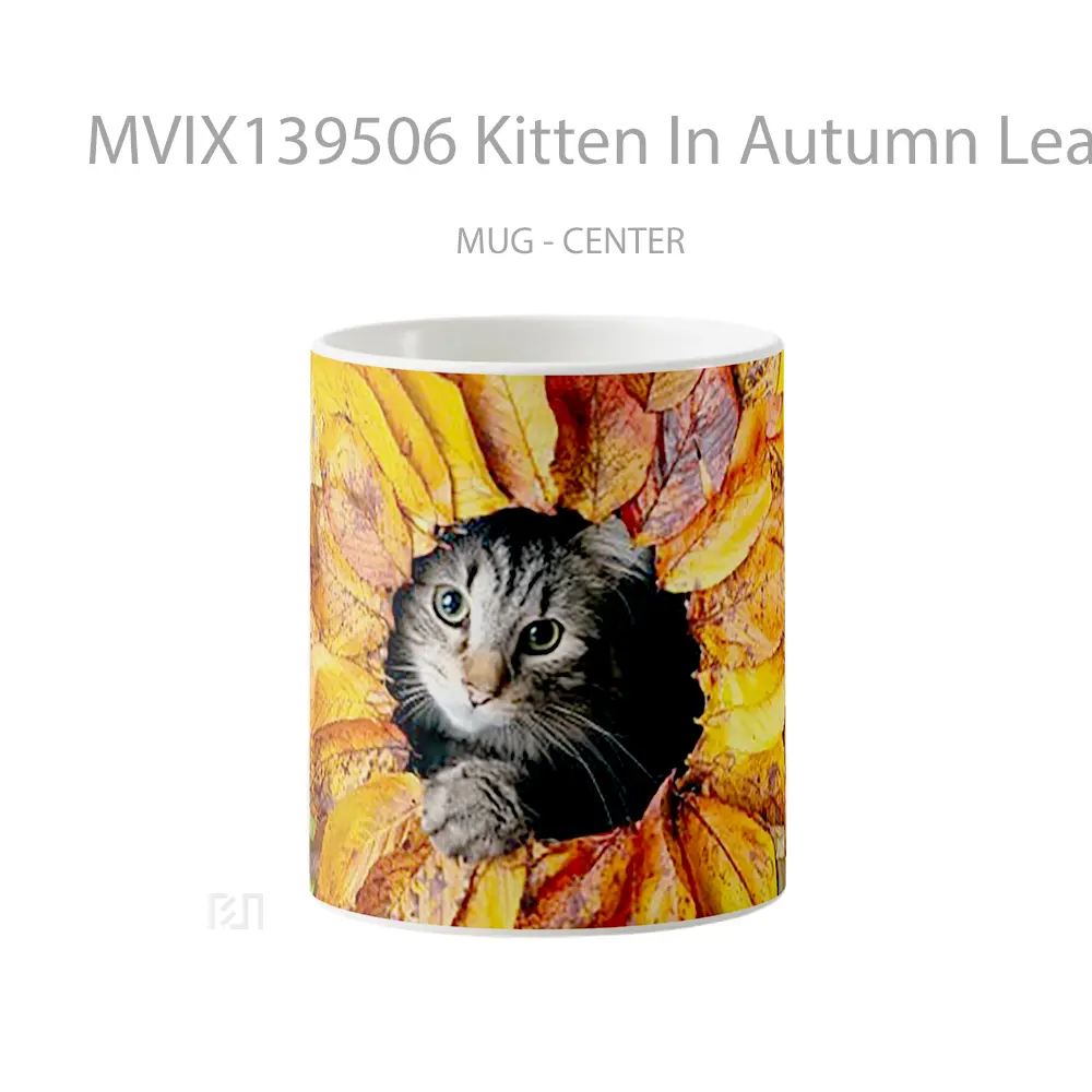 Mug Kitten In Autumn Leaves Gelas Hewan Lucu