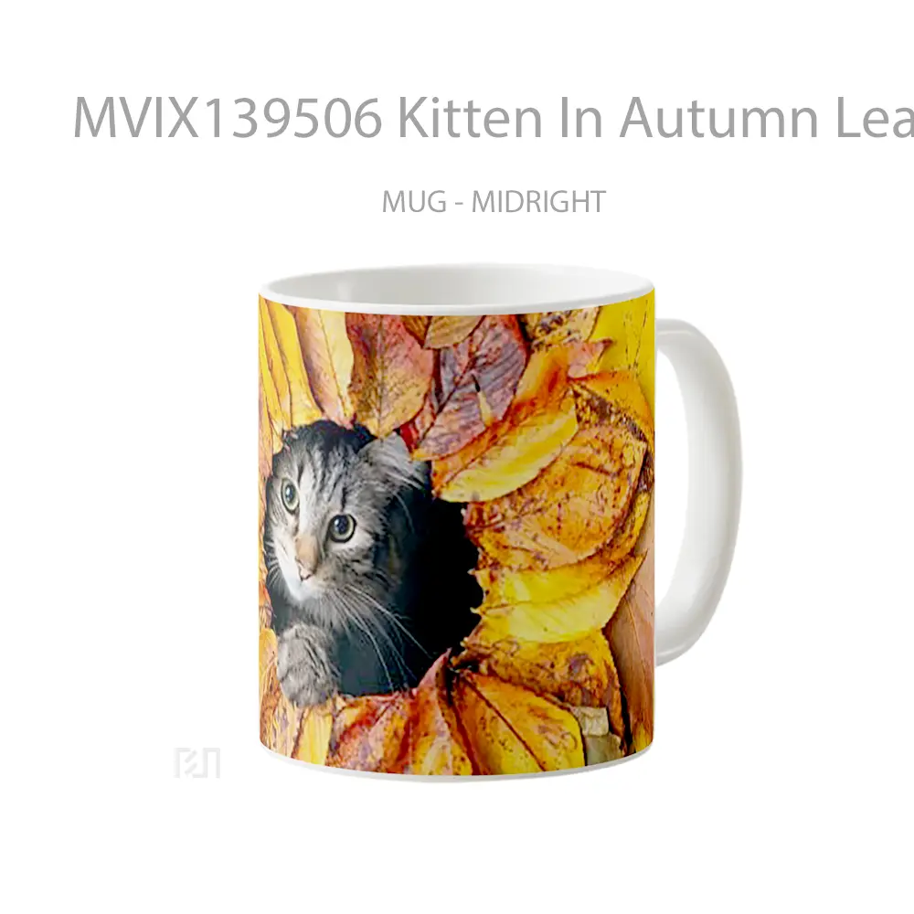 Mug Kitten In Autumn Leaves Gelas Hewan Lucu - All-side / Desain