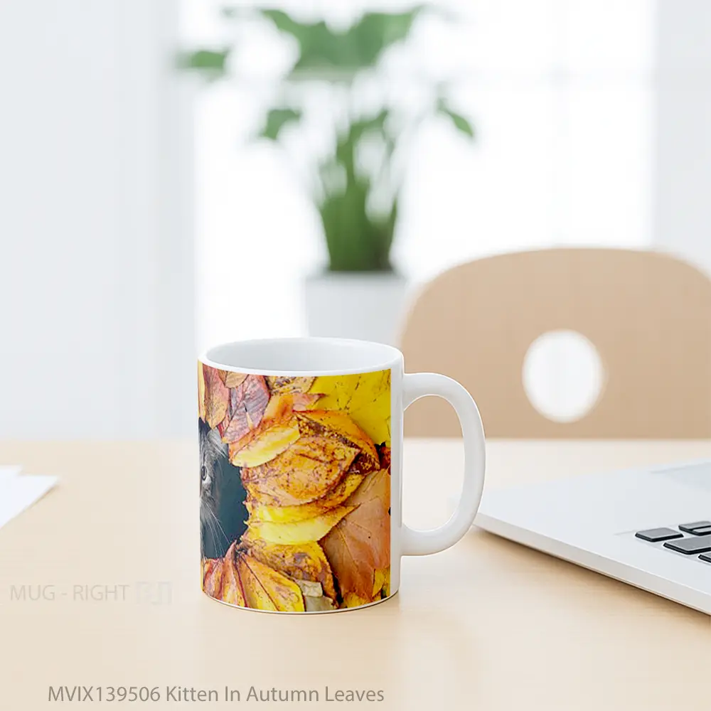 Mug Kitten In Autumn Leaves Gelas Hewan Lucu - All-side / Desain