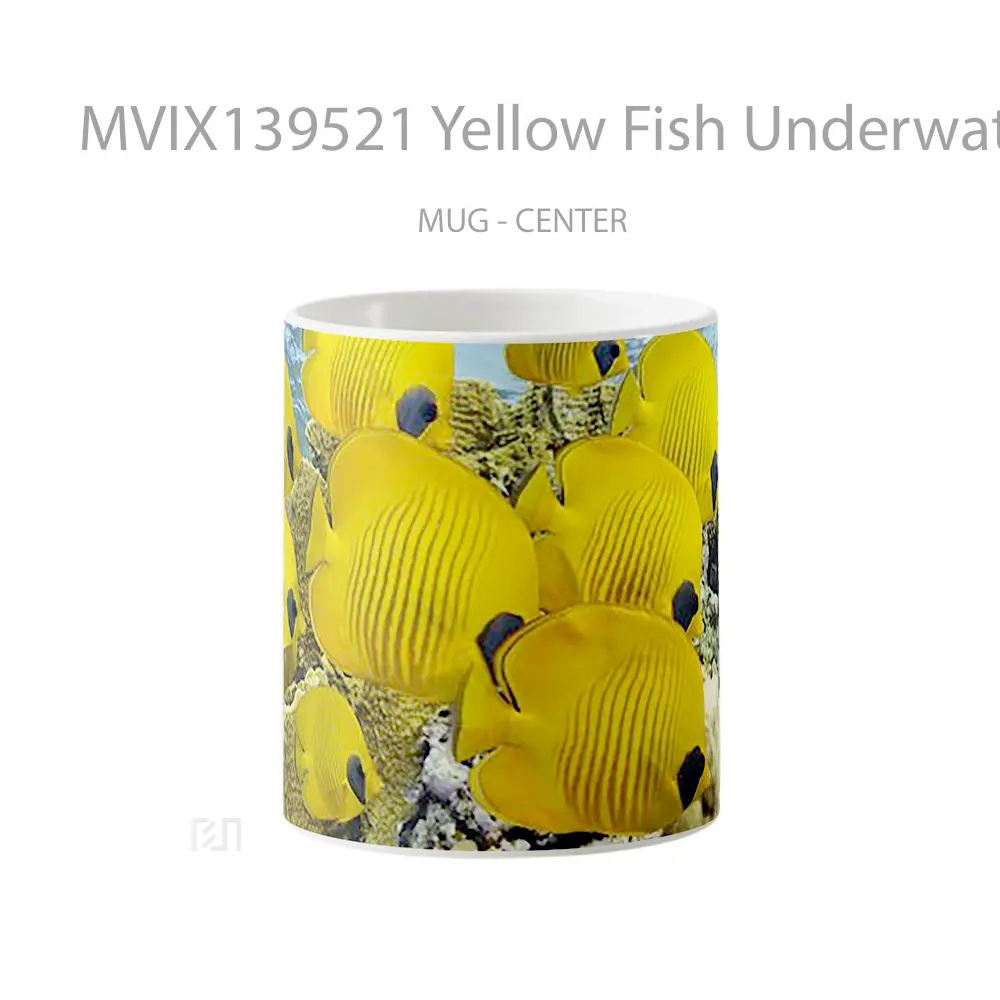 Mug Yellow Fish Underwater Gelas Hewan Lucu