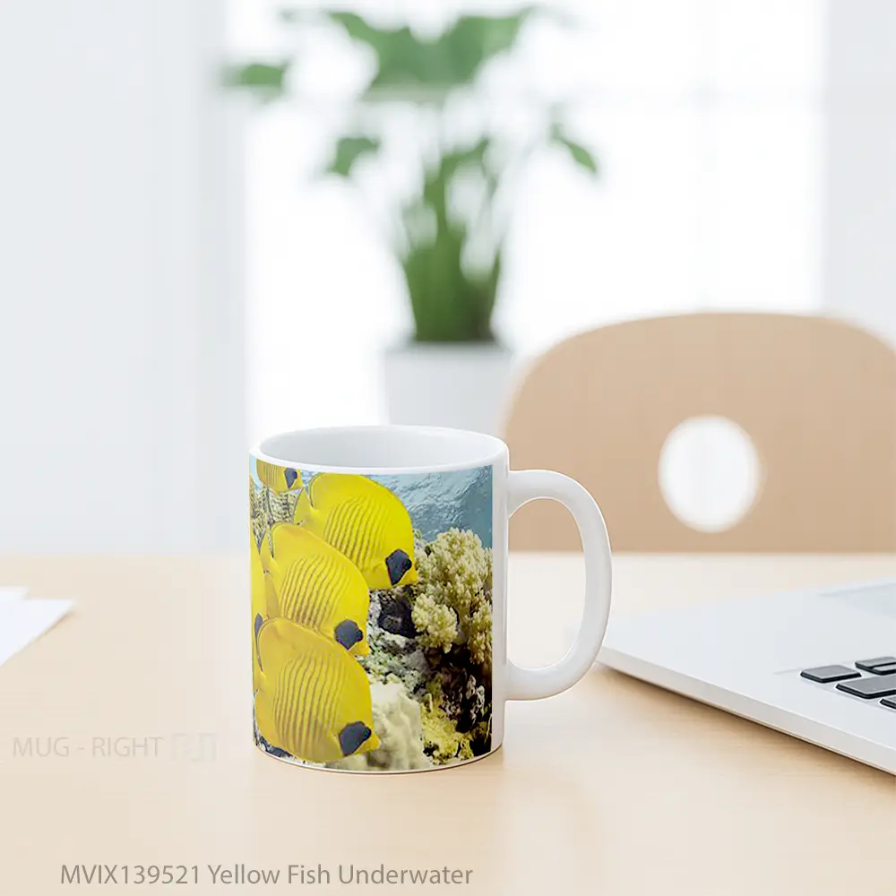 Mug Yellow Fish Underwater Gelas Hewan Lucu - All-side / Desain