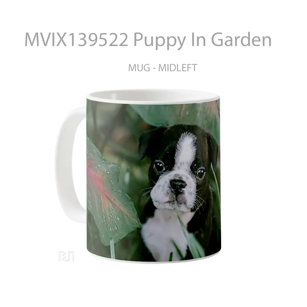 Mug Puppy In Garden Gelas Hewan Lucu - All-side / Desain