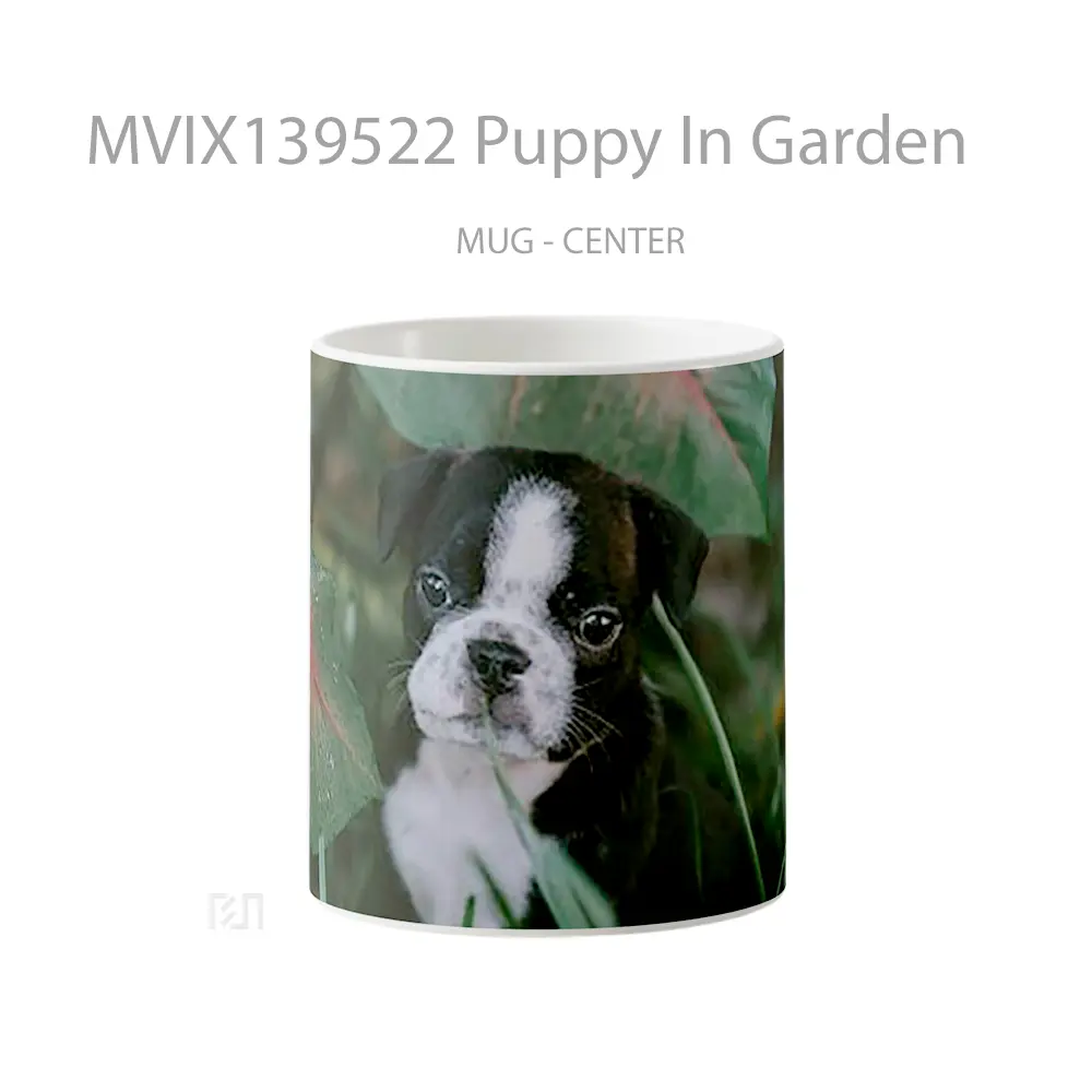 Mug Puppy In Garden Gelas Hewan Lucu