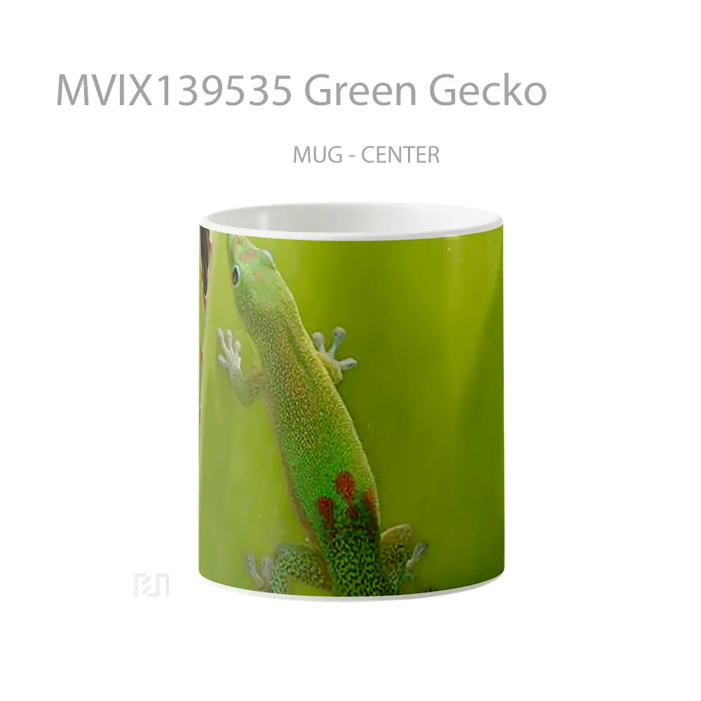 Mug Green Gecko Gelas Keramik Unik
