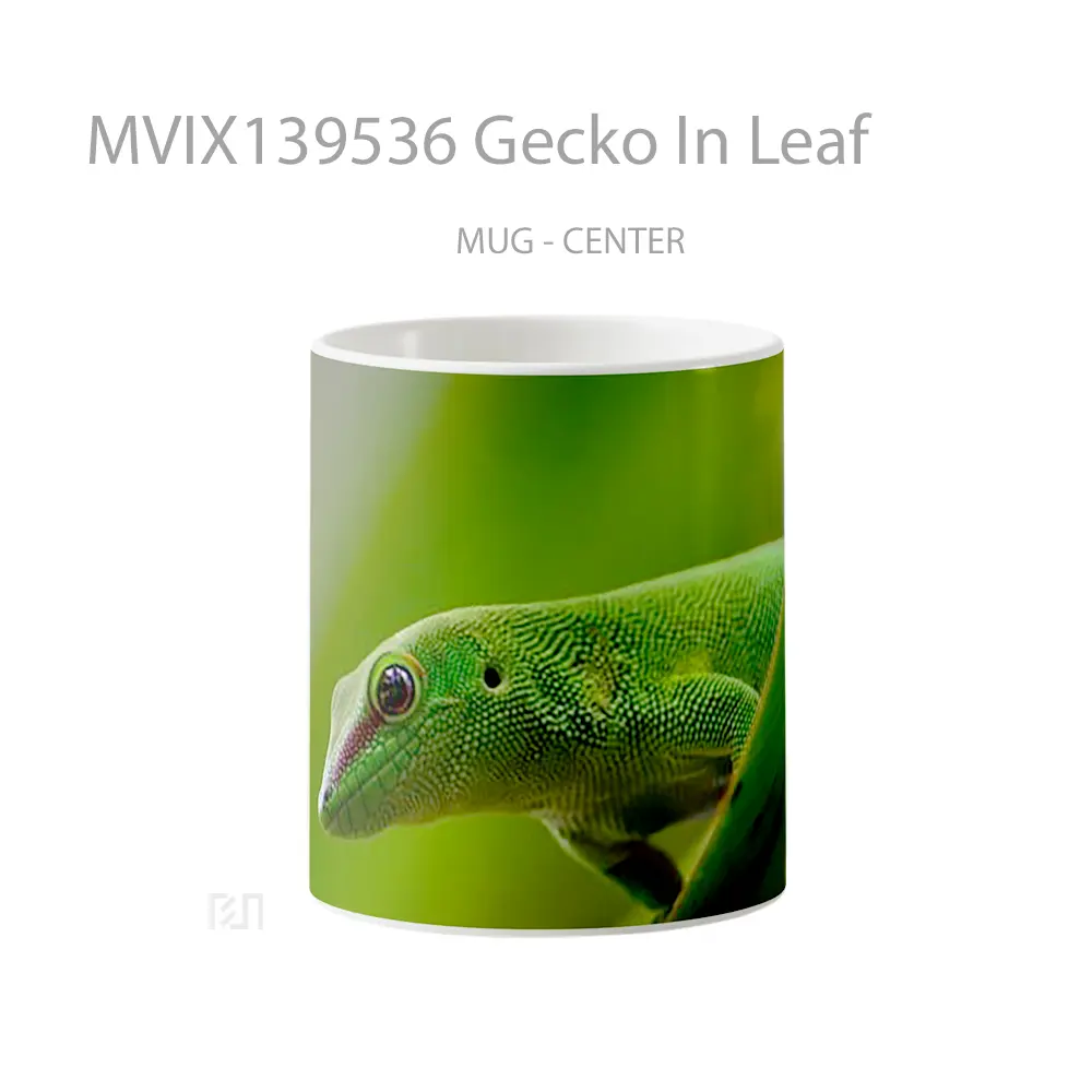 Mug Gecko In Leaf Gelas Keramik Unik