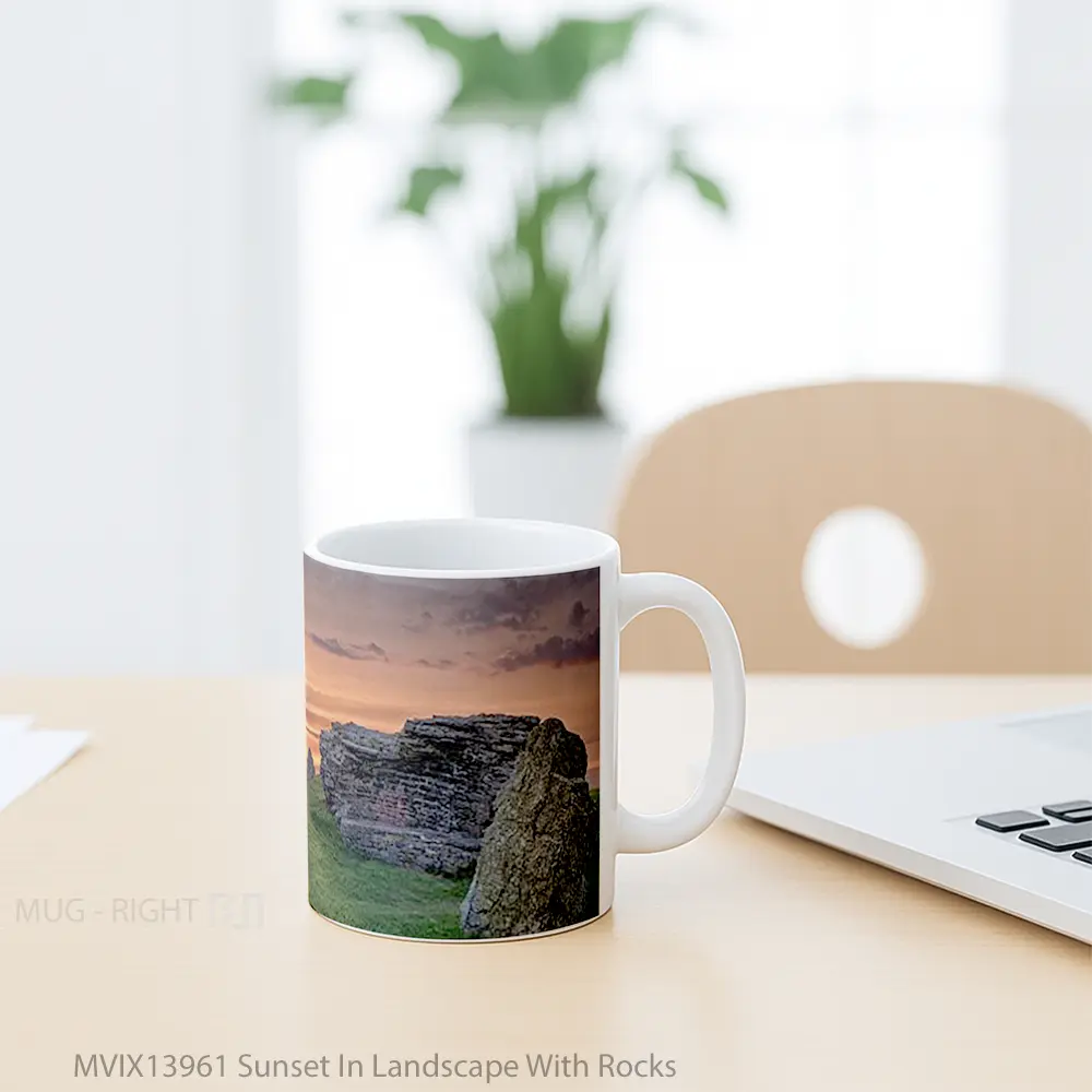 Mug Sunset In Landscape With Rocks Gelas Pemandangan Alam - All-side / Desain