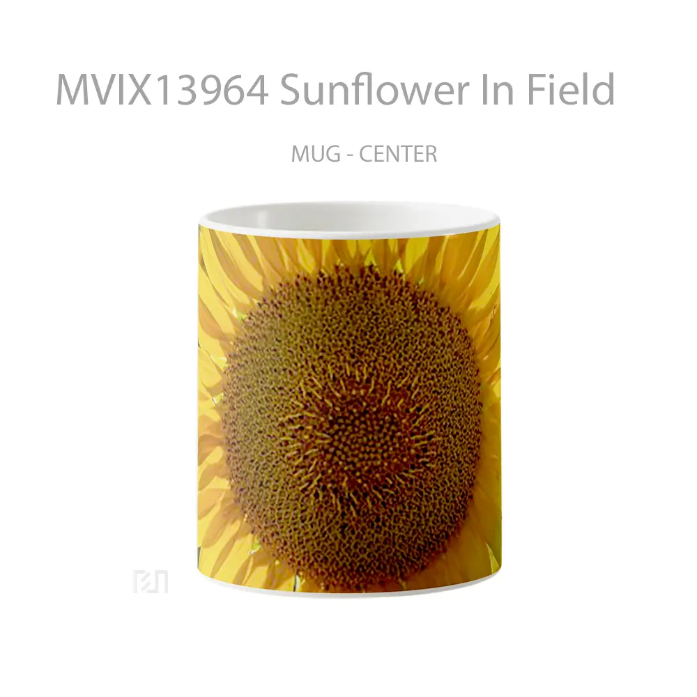 Mug Sunflower In Field Gelas Pemandangan Alam